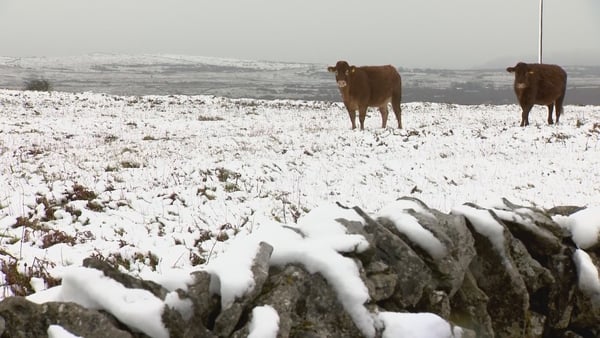 Extremely cold weather swept across the south, midwest, and southeast of the country over the weekend