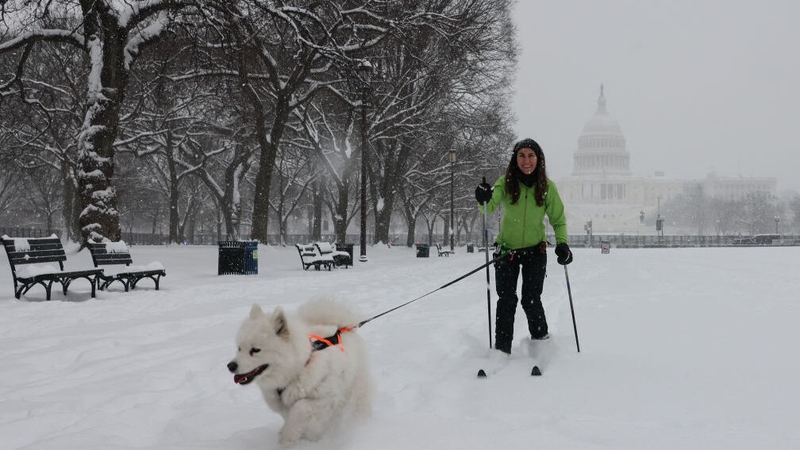 A woman in a snowy Washington DC brings her dog for a walk using skis