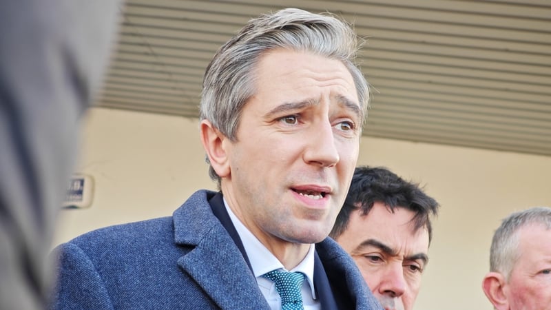 Fine Gael leader Simon Harris said he believes the plan will help to bring solidity to the country