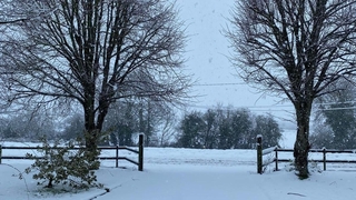 A Status Orange warning for low temperatures and ice is in place until 11am tomorrow