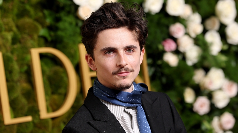 Timothee Chalamet will serve as both host and musical guest on 25 January episode of SNL