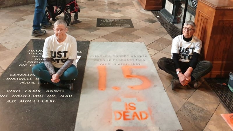 Just Stop Oil named the protesters as Alyson Lee and Di Bligh