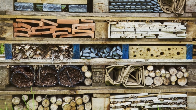 (Stock image) The planned 'insect hotels' are part of a series of species enhancement measures proposed by Marmoris Ltd, trading as Killough Solar