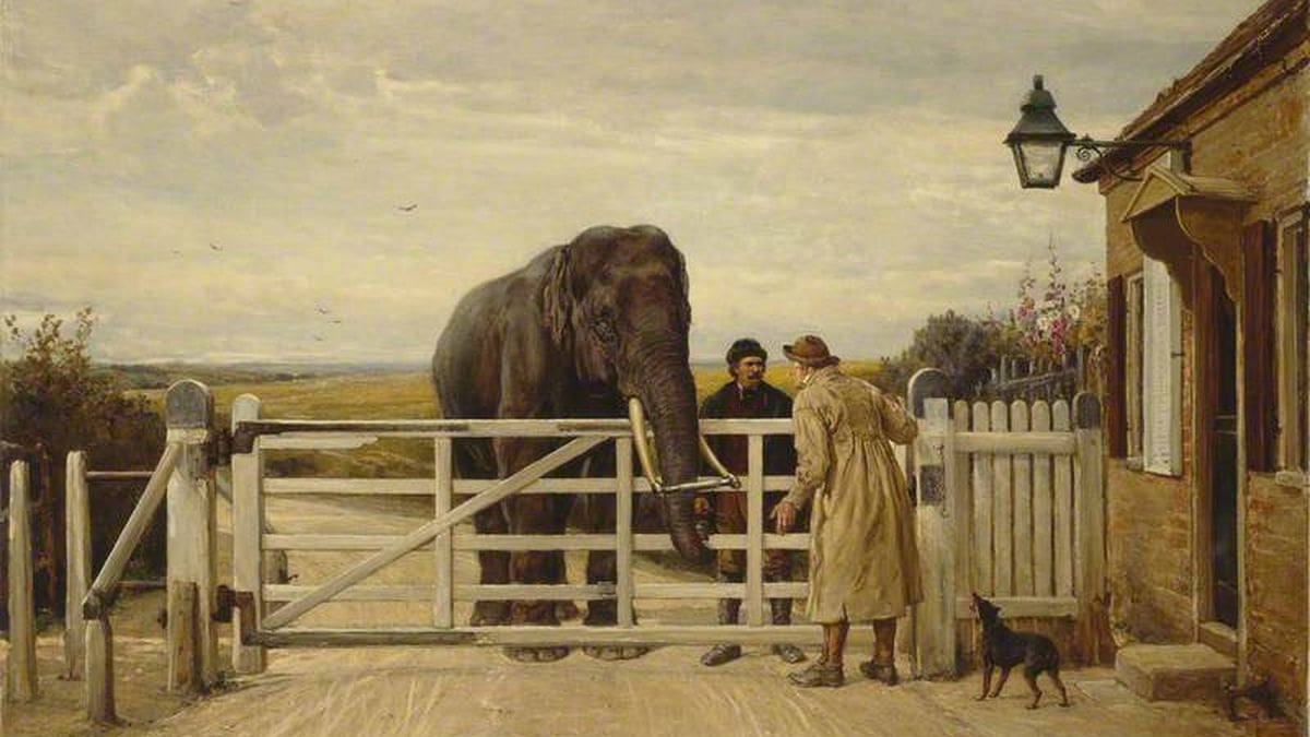The Disputed Toll