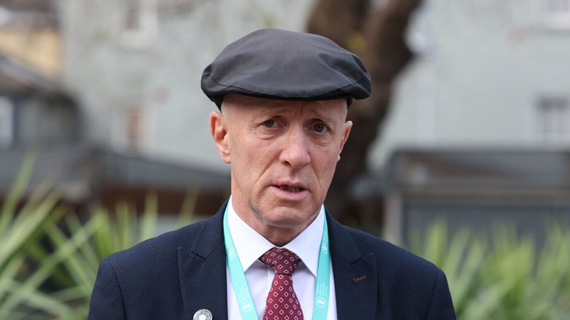 Michael Healy-Rae said the 'role will be going in my direction'