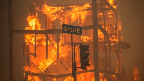 Mr Rinderknecht's arrest in Florida this month came after a lengthy investigation into the cause of the Palisades Fire
