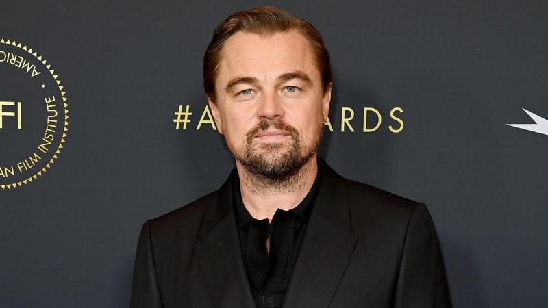 Leonardo DiCaprio pledges one million dollars (€971,000) to support "urgent needs and post-fire recovery efforts" in the wake of the LA wildfires