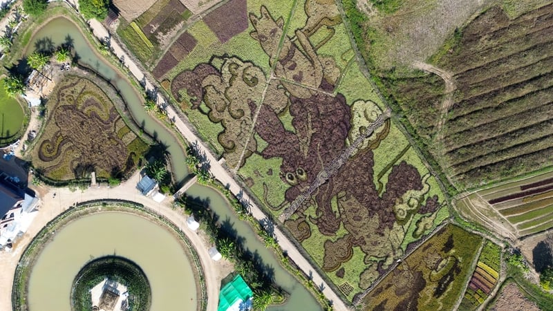 A dragon is shown protectively holding a cat