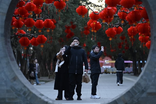 People take pictures in front of red lanterns hanging on trees for the upcoming Lunar New Year of the Snake at a park in Beijing