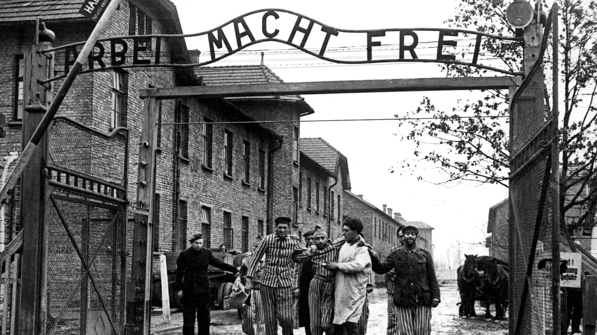 Increased education around the Holocaust will be introduced in Irish secondary schools 