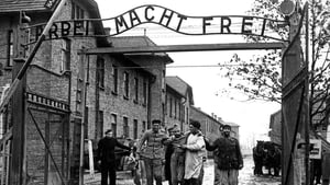 Increased education around the Holocaust will be introduced in Irish secondary schools  show image