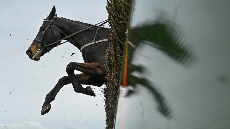 Appreciate It led home a one-two-three for Willie Mullins