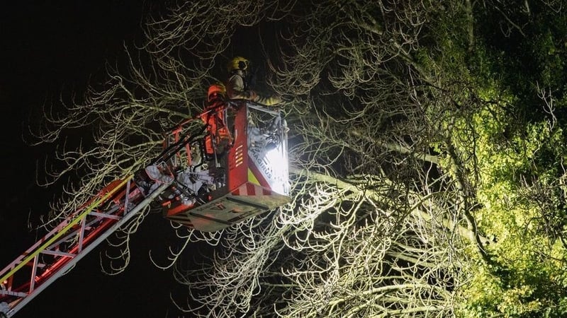 The man was arrested on suspicion of attempted burglary and disorderly behaviour (Pic: Belfast Telegraph)