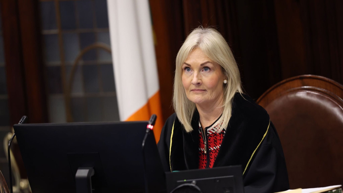 Dr. Seán Ó Conaill, léachtóir dlí i gColáiste na hOllscoile, Corcaigh.