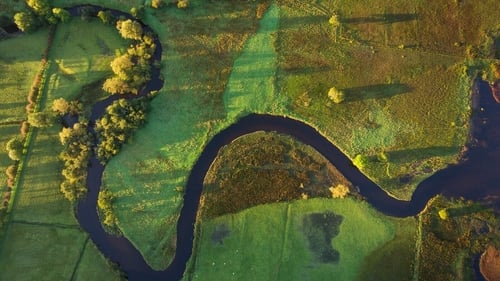 646,400 foreign visitors completed a trip to Ireland in July, down 1% compared with the same month in both 2024 and 2023