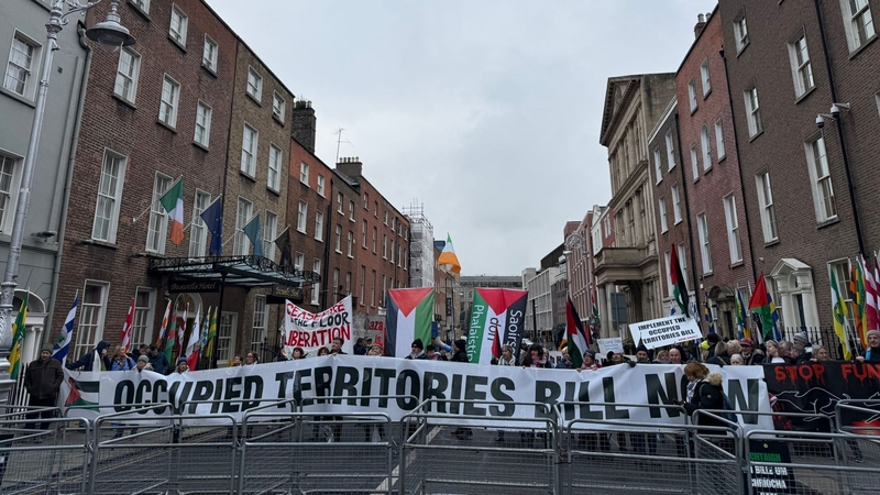 Dozens of protesters held a rally outside Leinster House