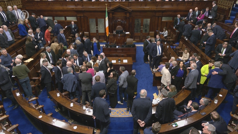 There were chaotic scenes in the Dáil last week amid the row over speaking rights