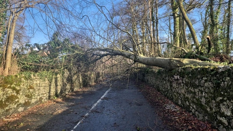 Many roads around the country were blocked by fallen trees