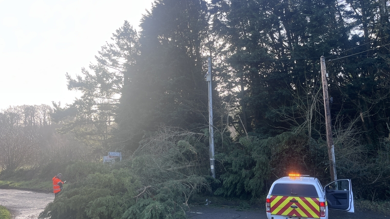 Crews begin work on clearing fallen trees in Co Dublin