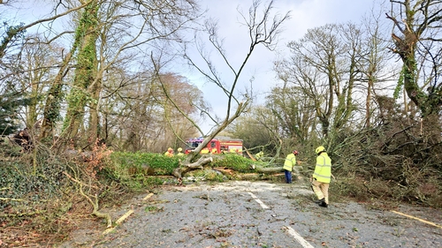 Firefighters from the Ashbourne Brigade in Co Meath at the scene of a fallen tree on the N2