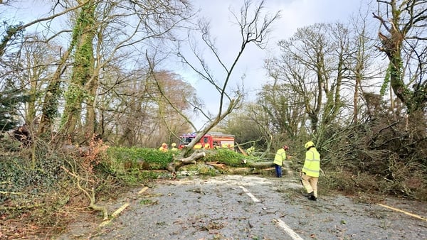 Some of the strongest wind speeds recorded occurred during Storm Éowyn, which caused widespread destruction in January (File: RollingNews.ie)