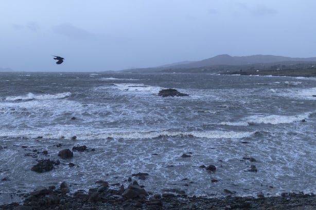 A bird battles the winds as waves crash onto the shore in Dunmanus Bay, on the south-west coast of Ireland on the morning of January 24, 2025, as storm Eowyn brings winds of 100 mph to the UK and Ireland. A rare red warning for wind, which warns of "very dangerous conditions" and gusts of up to 100m