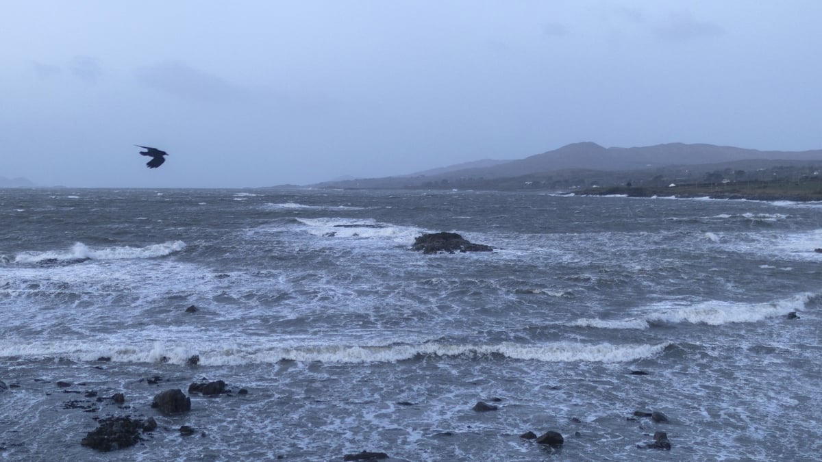 The Clean Up After the Storm