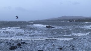 The Clean Up After the Storm show image