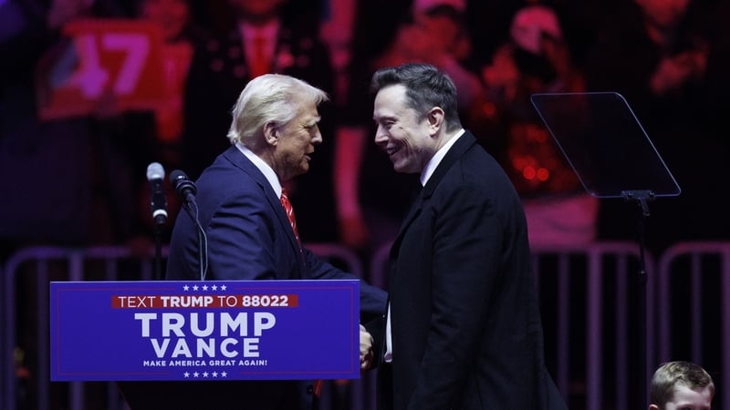 Market experts predict that the alliance between the US President and Elon Musk will unravel in 2025.