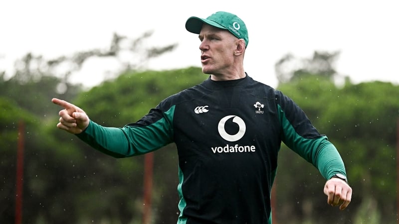 Ireland forwards coach Paul O'Connell