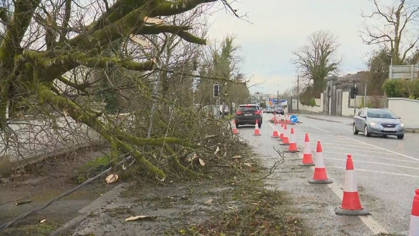 Damage from Storm Éowyn in Ballinasloe, Co Galway. Photo: RTÉ