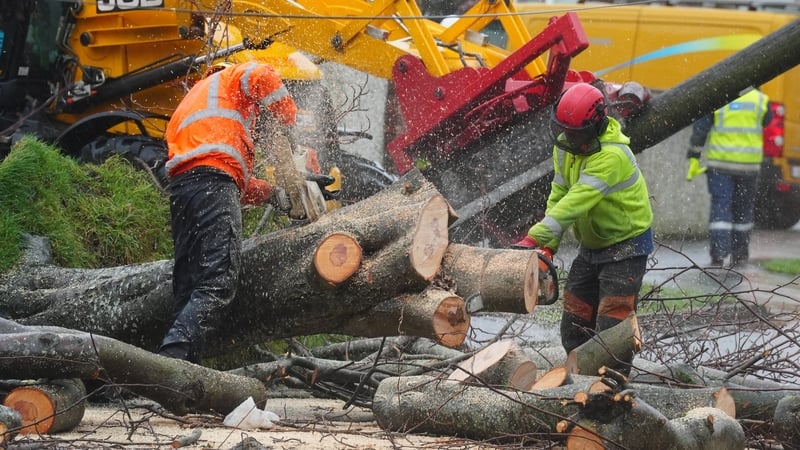 Workers clearing a fallen tree on Grove Park Drive in Dublin