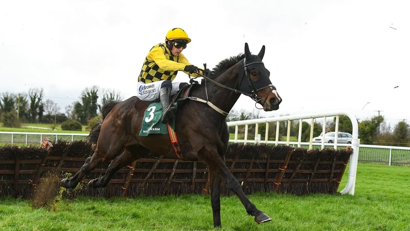 Anzadam recorded Grade Three wins at Fairyhouse and Naas last season