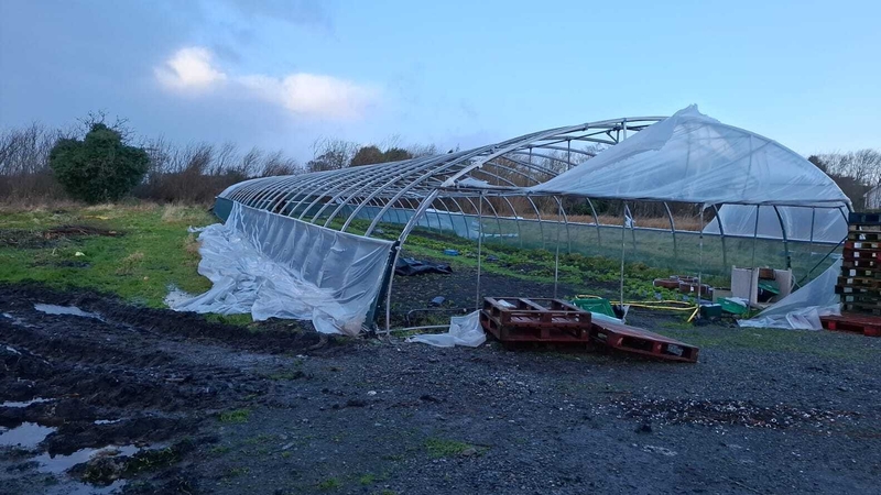 Damáiste a rinneadh d'fheirm i mBéal Átha na Sluaige i gCo na Gaillimhe i rith na stoirme