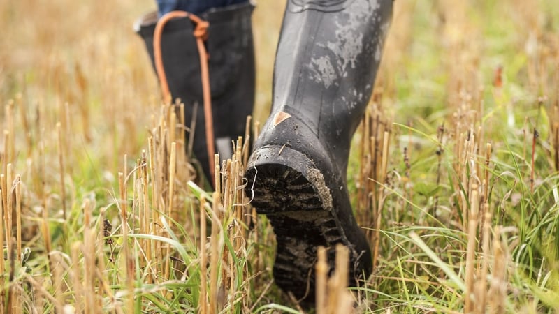 The findings indicated a decline in the proportion of young farmers in recent decades