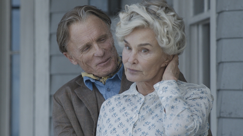 Ed Harris (L) and Jessica Lange (R) come to this year's Dublin Film Festival
