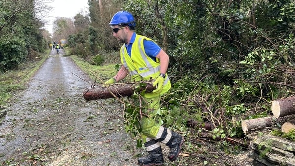 ESB clears cables in Claremorris, Co Mayo earlier this week