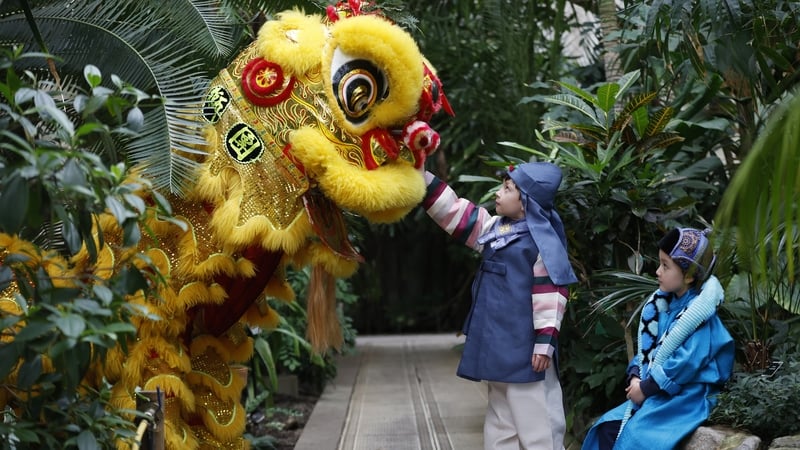 How to train your dragon! Photo: Julien Behal