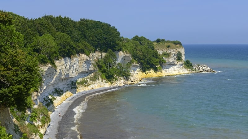 The find was made on Stevns Klint (Cliffs of Stevns) south of Copenhagen