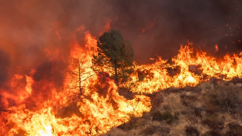 Antonio Guterres said: 'No country is safe from fires, floods, storms and heatwaves' (Stock image)