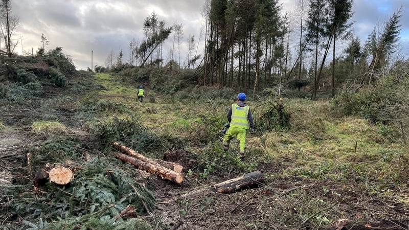 ESB Networks has said 3,000 electricity poles across the country must be replaced while 900km of new conductor cable must be laid over the coming days