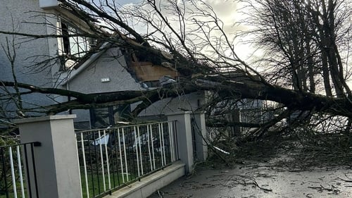 Storm Éowyn had gusts of up to 183km/h, resulting in 768,000 homes and businesses without electricity