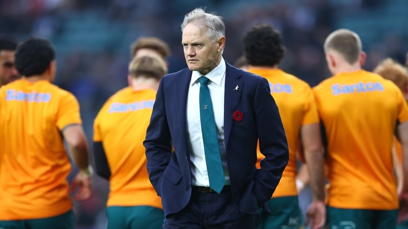 Joe Schmidt will remain in charge of Australia until October