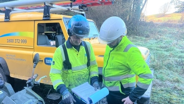 ESB reported additional operating costs of €95m in reconnecting customers on the island of Ireland after Storm Éowyn last January