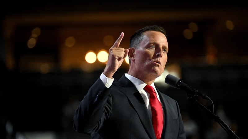 The six men, who were not identified, were photographed smiling on a plane alongside Richard Grenell