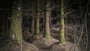 Tús Áite: Leabhar an Sitka show image