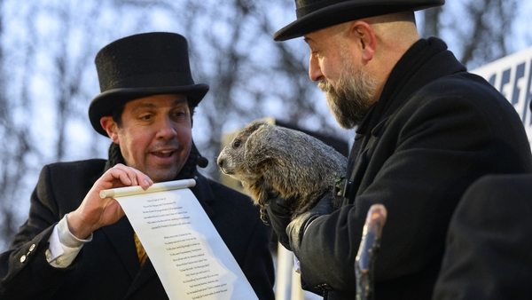 Thousands of people gathered at dawn in Punxsutawney, a small town northeast of Pittsburgh, to celebrate Groundhog Day and watch Phil make his way out of his tree stump to offer his annual weather forecast