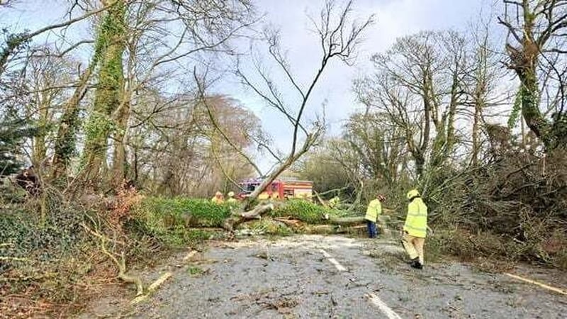 A fallen tree blocks a road following high winds during Storm Éowyn