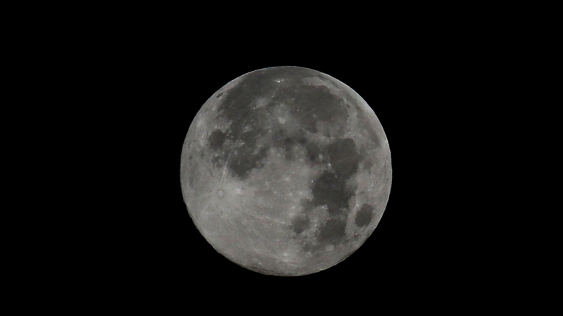 Scientists used photos and data from NASA to come to their conclusion