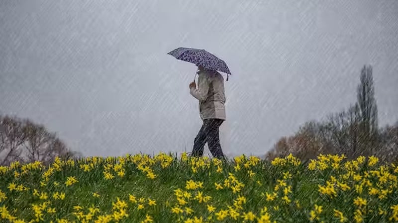Are your knees better than Carlow Weather at predicting changes in the weather? Photo: Lee Hudson/Alamy